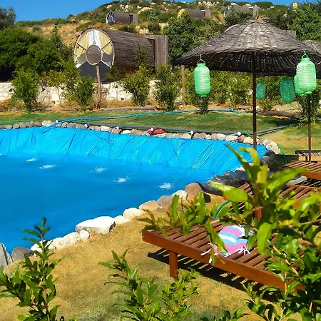 Vadi Hotel
