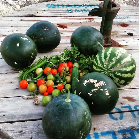 Vadi Hotel Alaçatı