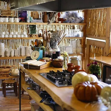 Vadi 酒店 阿拉恰特