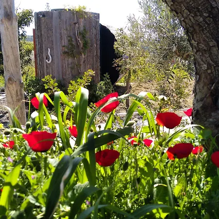 Hotel Vadi Alaçatı
