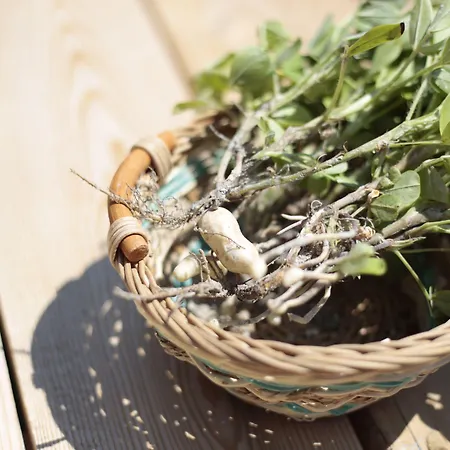 Hotel Vadi Alaçatı